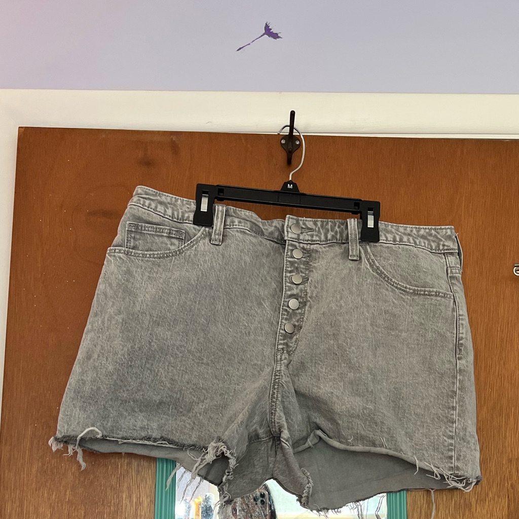 Universal Thread Button Fly Shorts
